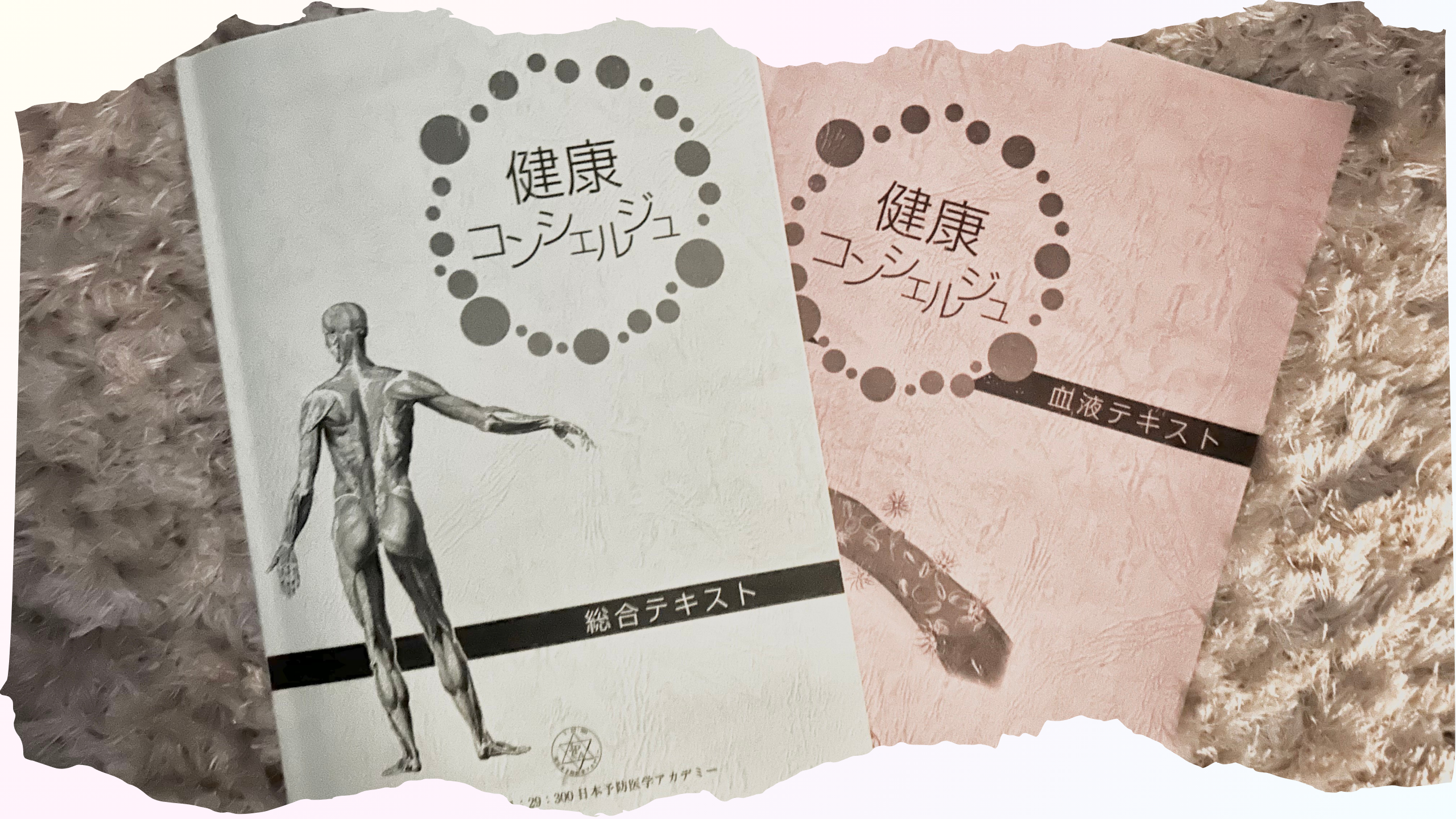 12月✴︎東洋医学☯️健康コンシェルジュ教室✴︎開催🎄